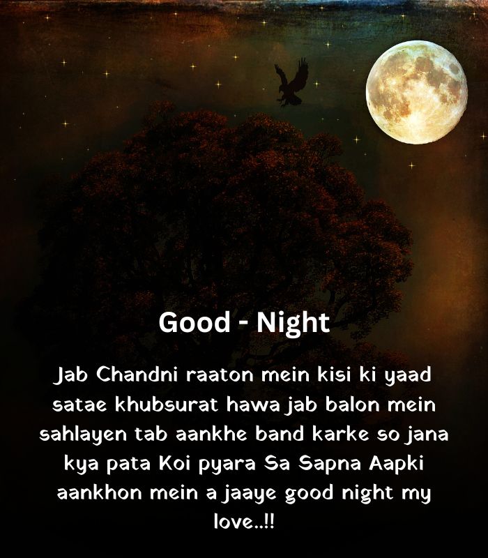 2 line good night shayari in english