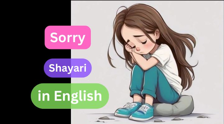 Read more about the article Sorry Shayari In English