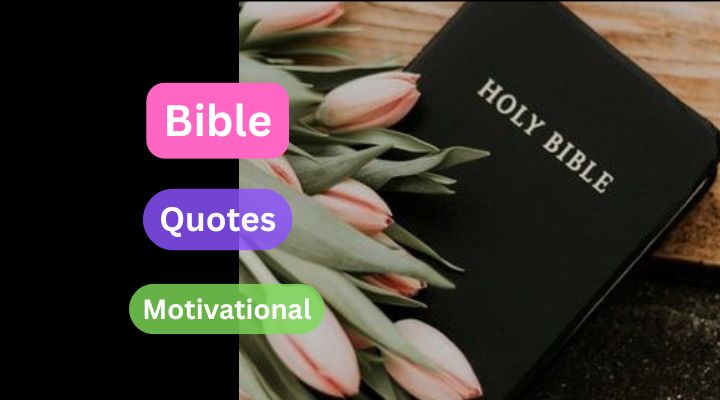 Read more about the article bible quotes of motivation